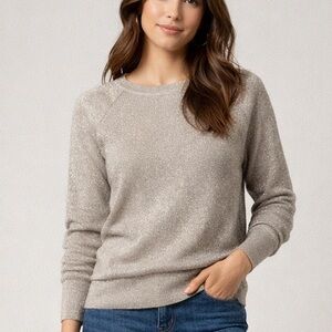 Loft Sparkle Sweater